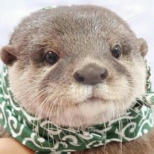 埴之塚　ひろ太郎