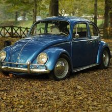 ピコピコリ@マイネオファン