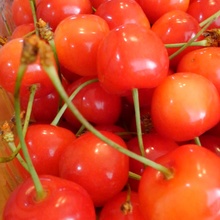 となりのとまと