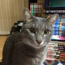 メガネのおっちゃん