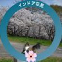 淡路の アキじい