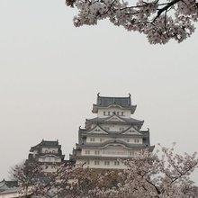 じゅんです。