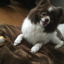 gyuchan
