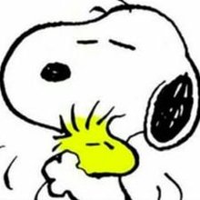 すけさん＠ココア