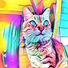 ゆういちろう０８２２