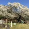 島根エスパルス