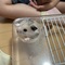 こきゅあ
