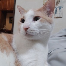 officialコムドットコム