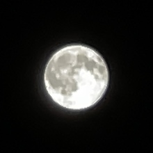 full-moon