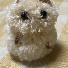 イシコシッコシュタイナー