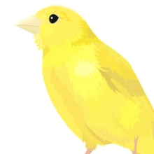 canary7