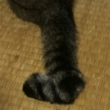 チョンス兄さん