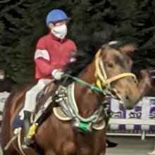 のり@MINTはいぼーらー