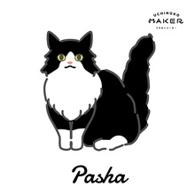 Pasha