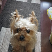 くるみ０５１６