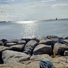 さっぱりピーマン