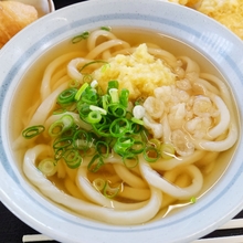 素うどん