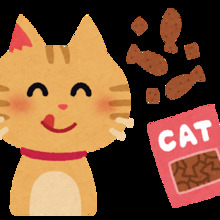 だぁくねこねこ