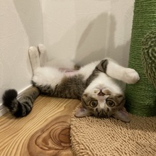 ちゃちゃまるちゃん