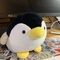 すずもとき