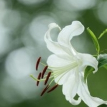 C0705@笑いツボ浅い