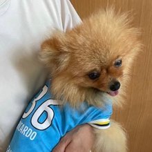 ゆっくりもなか