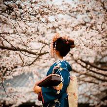 a-sakura