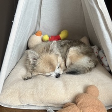 けっけす@伝説のニート