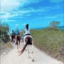 ポリスゆの@伝説のニート嫁