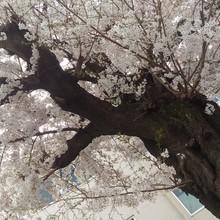 空色鉛筆