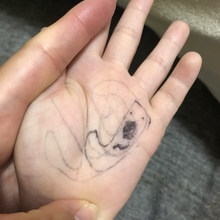 こあらとひよことぱんださん