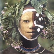 ばにらびーんず