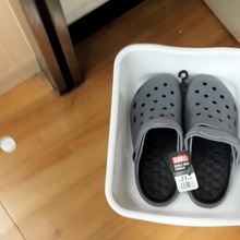 再び無敵のアシカル