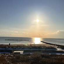 ぐまま@人体錬成中