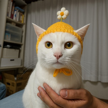 よびさか@よく分からんがよろ