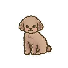 しゅうせっけい