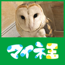 めんふくろー@運営事務局