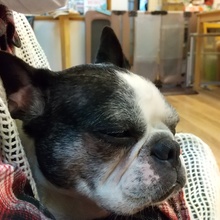 おおぼしアッキ ー