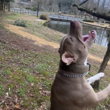 タイコー@タイコー