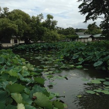 辺境のスライム