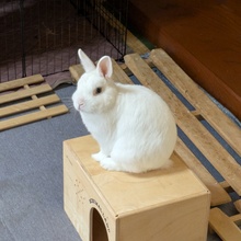 もりらん