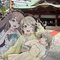 アザラシ２ちゃい@鯉友