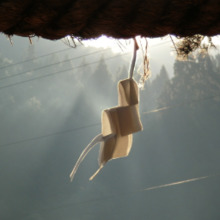 のん兵衛（井上です）