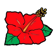 シン・サダモリ