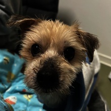 ゆきっコ@超初心者