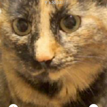 スーみいちゃん