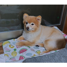 マーコリン@マーコリン