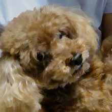 自己肯定感@1238