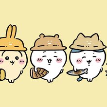 korirakuma@eo光職人