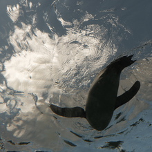 san3@寅さんって優しいね！